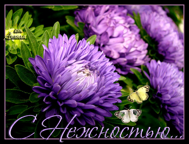 СПАСИБО БОЛЬШУЩЕЕ!!!!!!!!!!!!!!!!!!!!!!!!