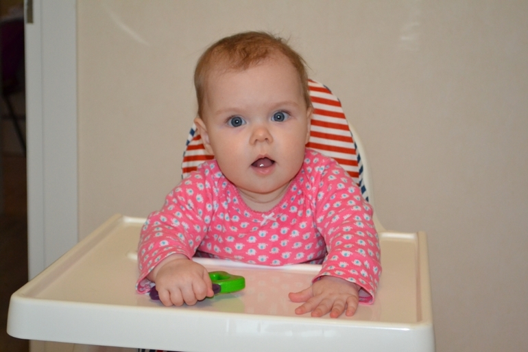 вот и мы купили стул антилоп в икеа