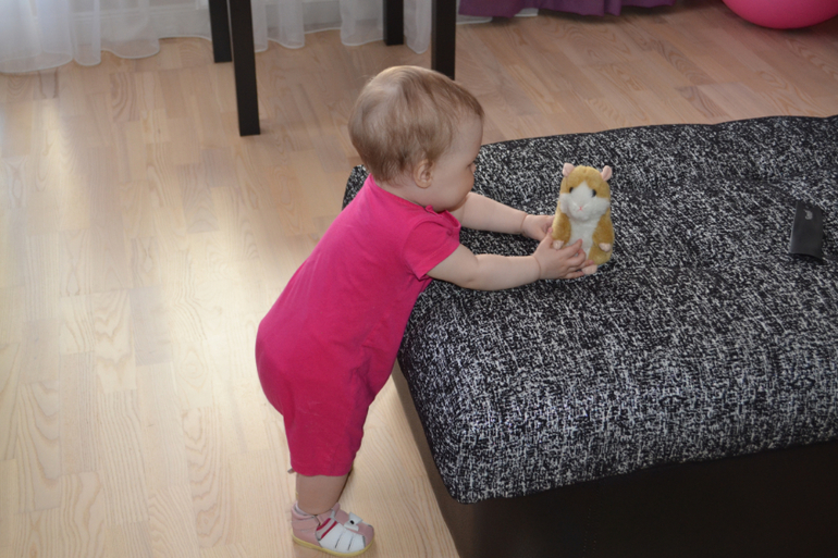 хомяк и туфли)))