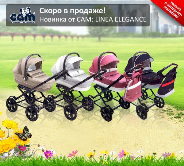 Коляски Cam