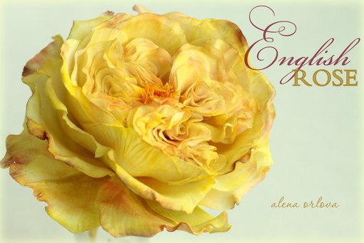 Впервые только цветочный курс Алены Орловой! 4,5,6 апреля Москва