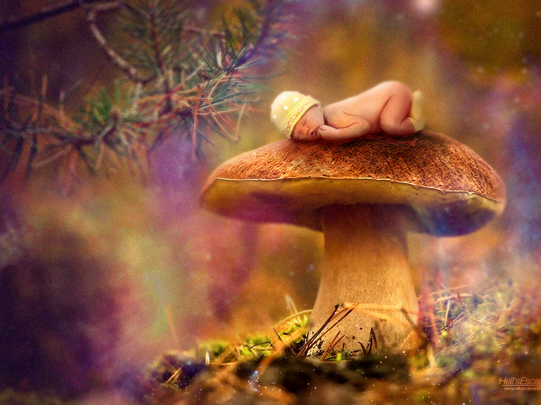 Привет) и я к вам!