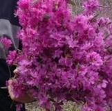 СПАСИБО ИННА!!!!