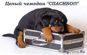 Запоздалое спасибочки!!!!