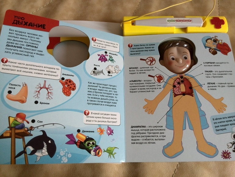 Маленький доктор от Азбукварик