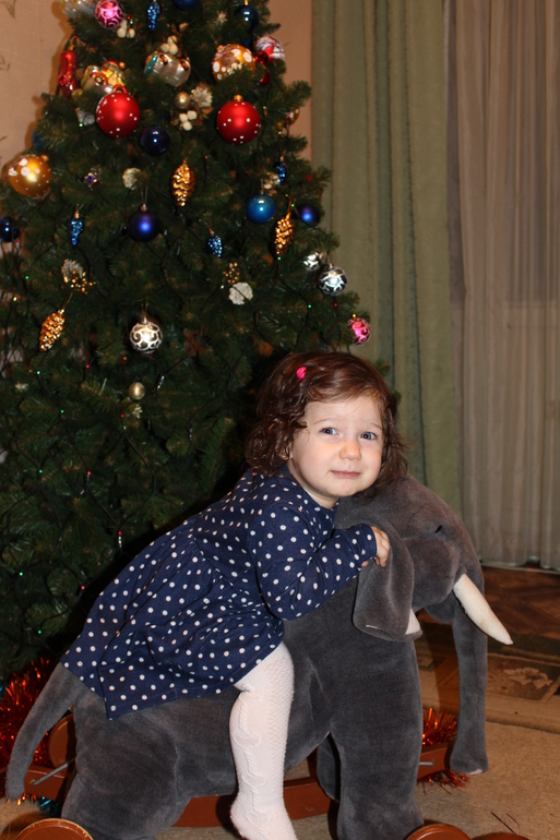 Новый год 2014!