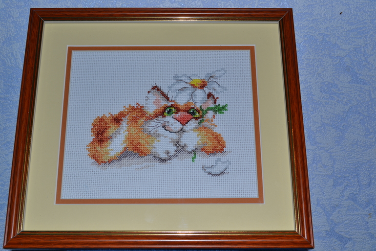 Рыжий котик.