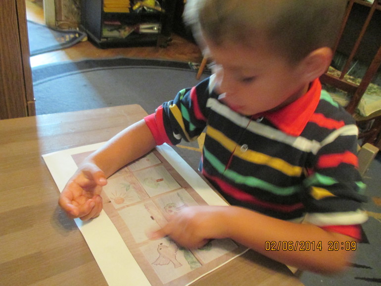 ТЗ  ДЕРЕВЬЯ   ГУЛЯЕМ-ИЗУЧАЕМ!!!