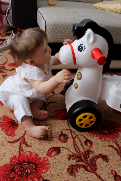 Конь в яблоках.8,5 мес