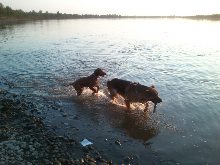 поход на речку