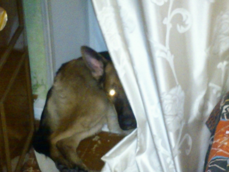 вот такие мы....