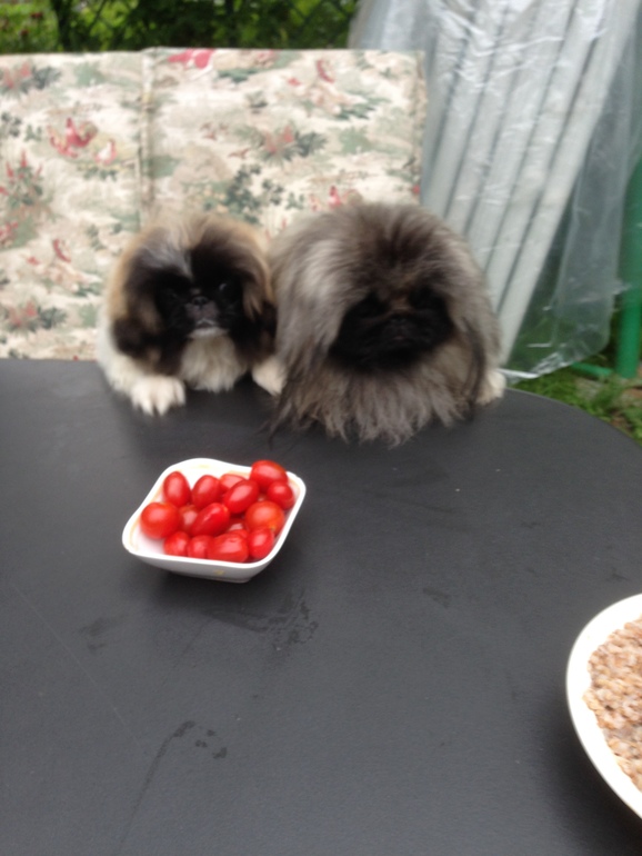 Мальчик...и еще...мальчик...)))