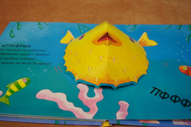 Наши любимые панорамки)) "Зубастая акула" и "Весёлые тигрята"