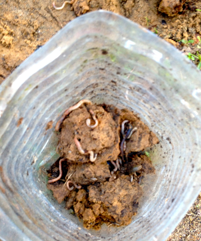 отвечая на вопрос