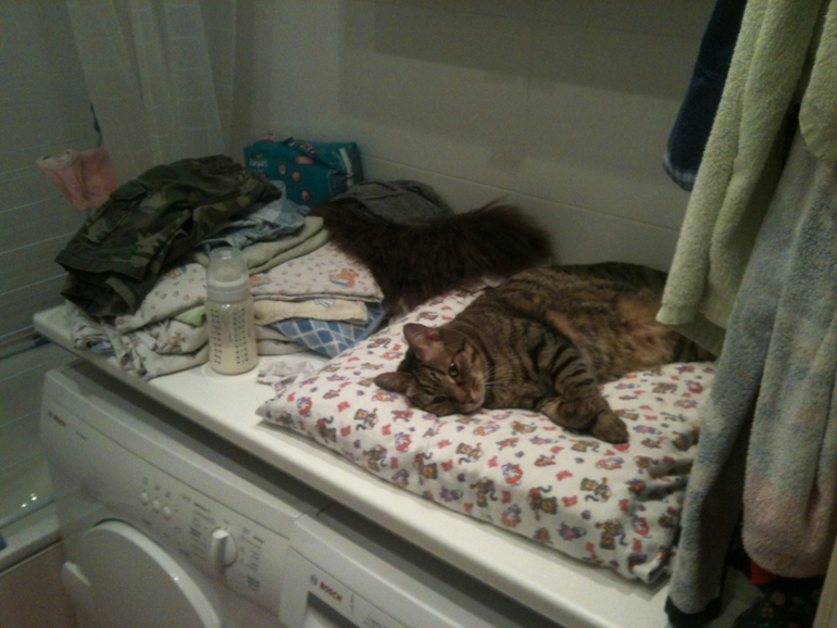 Взлет 73. День 5, 6