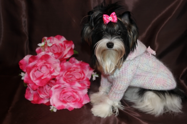 Моя девочка 8 мес