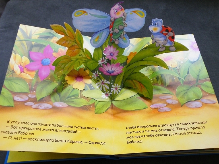 Первое пополнение лета