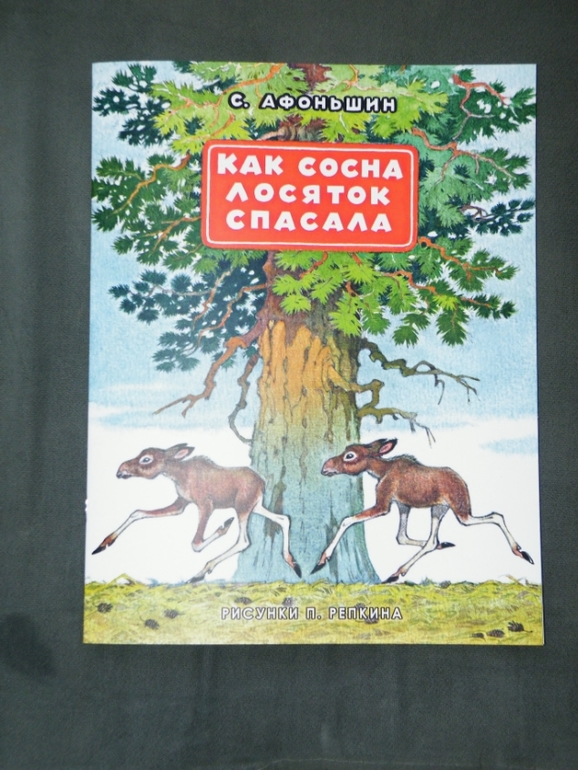 Новые книги - фото отчет