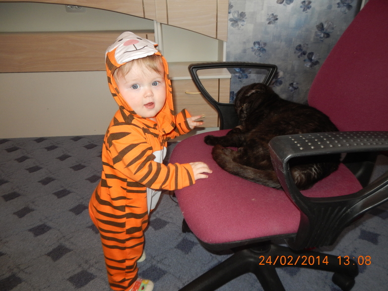 Нам ГОДИК!!!!