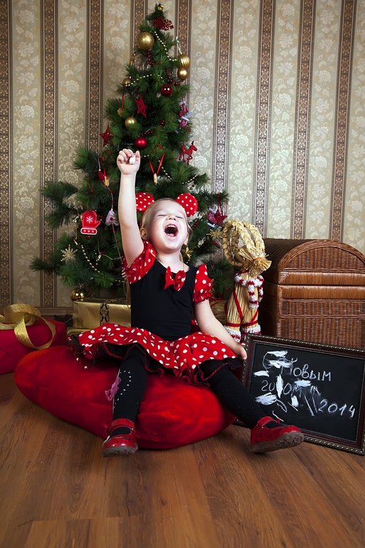 Моя новогодняя МИННИ