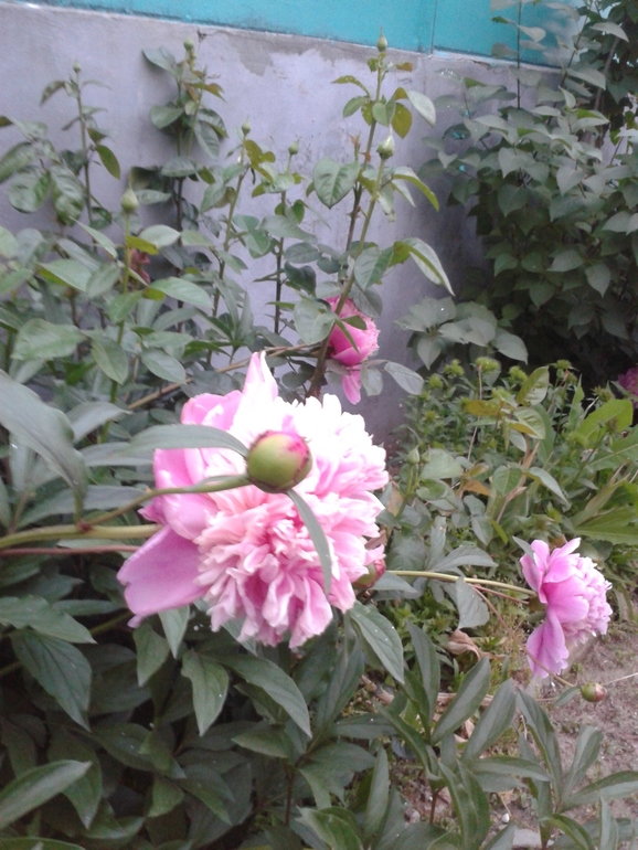 Чуть -чуть фоток