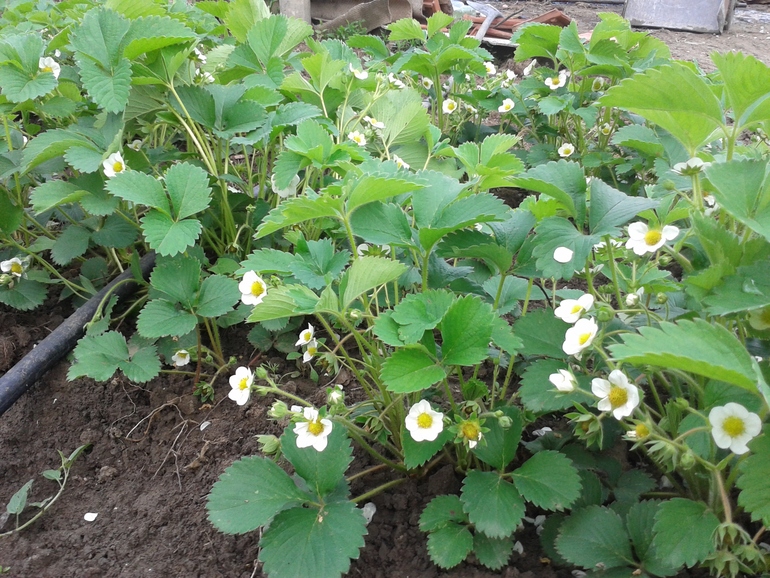 Чуть -чуть фоток