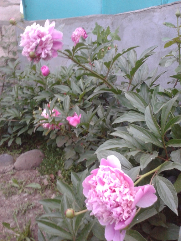 Чуть -чуть фоток