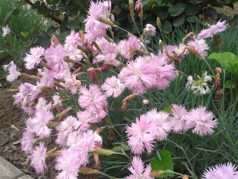 Чуть -чуть фоток