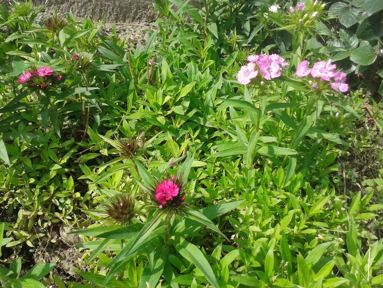 Чуть -чуть фоток