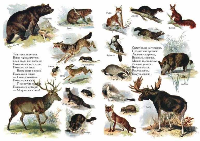 наше пополнение 2014