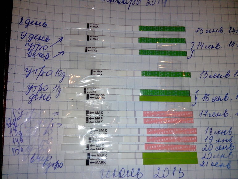 "ни чего непонимаю.............." с этой овуляцией