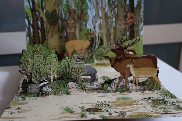 Анималия. Развороты.