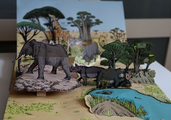 Анималия. Развороты.