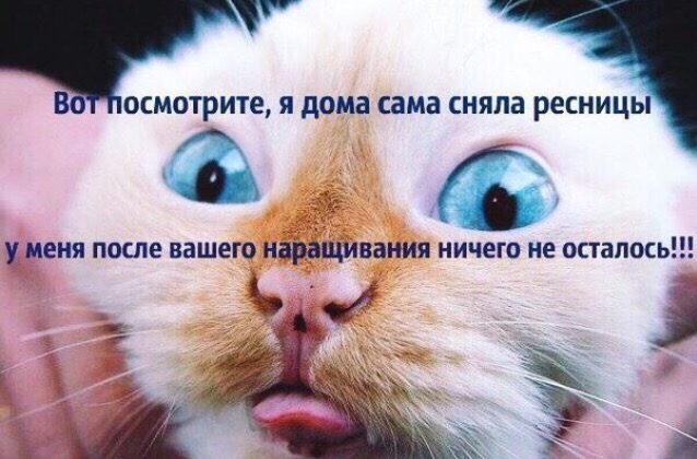 Психологический тесты на отношения в семье Психологический тесты на отношения в семье