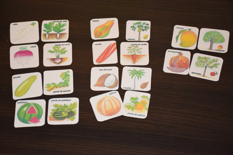 ТН "Как растут овощи"день 3