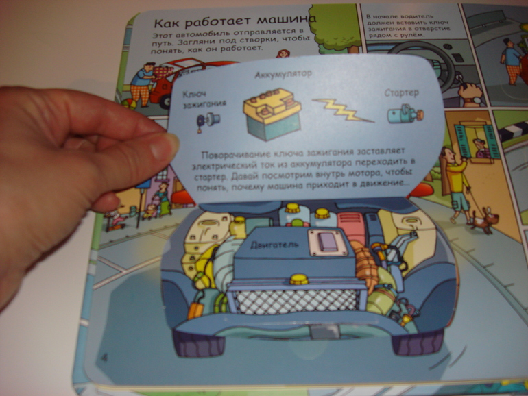 Робинс окошки