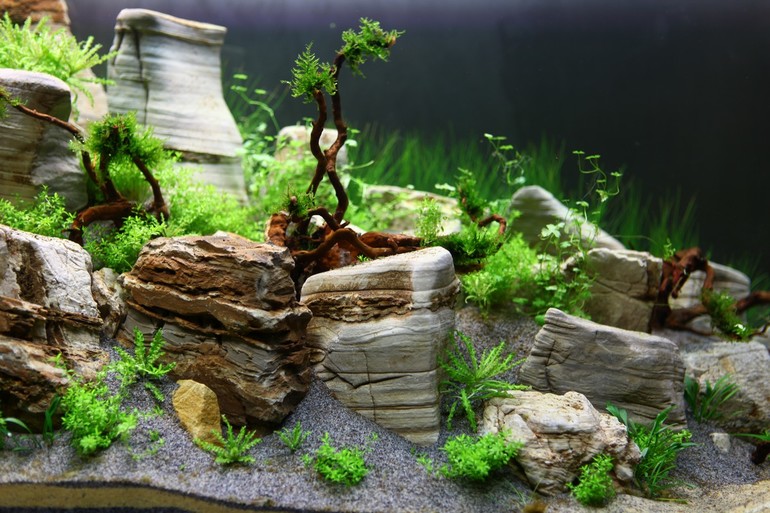 Кто куда? Кусочек лета посреди морозной зимы