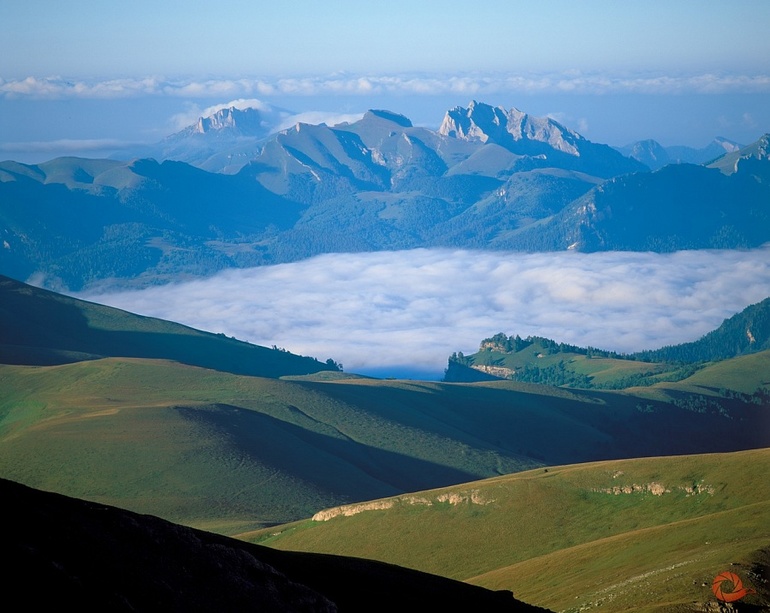 Кто куда? Фестиваль