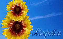 Вот и ваша правда))