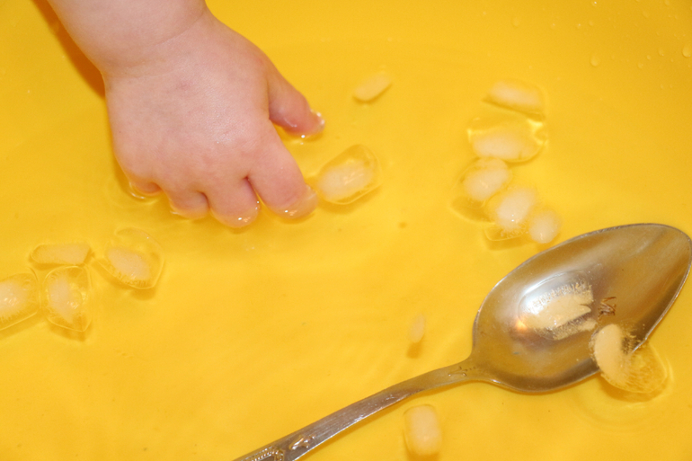 Отчет Лягушка