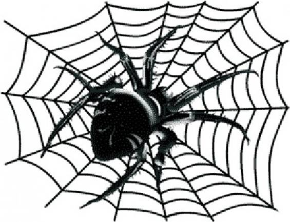 Пост для отчетов день 4 ТН "Насекомые" (старшая группа)