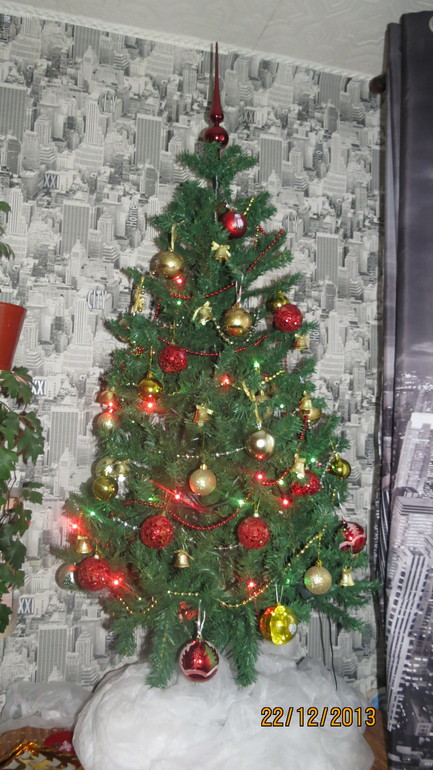 Елку нарядили)))