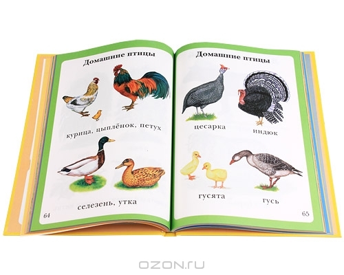 Картинки для малышей