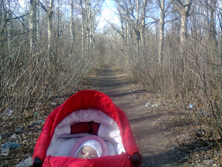 Наши прогулки (накопленные фотки)