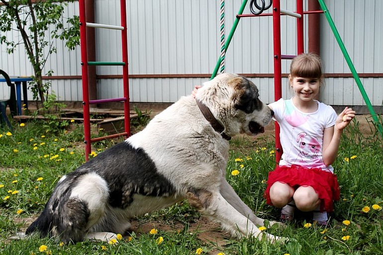 Доча и алабайчик))