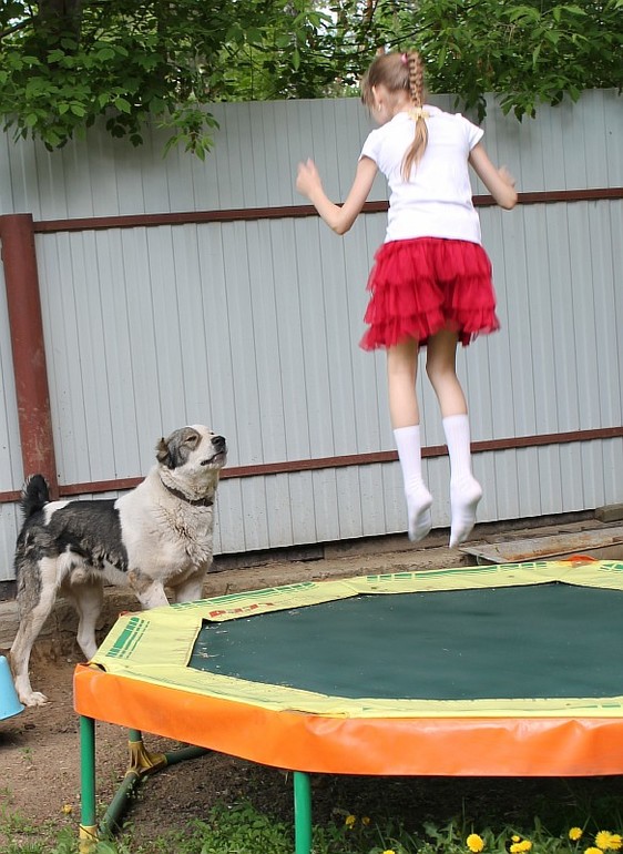 Доча и алабайчик))