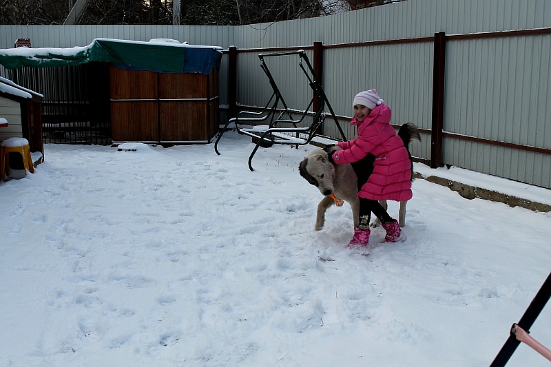 Вот, кто рад мартовскому снежку=))) 19.03.14