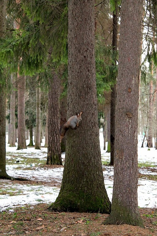 А мы сегодня 1 января кормили белок))))