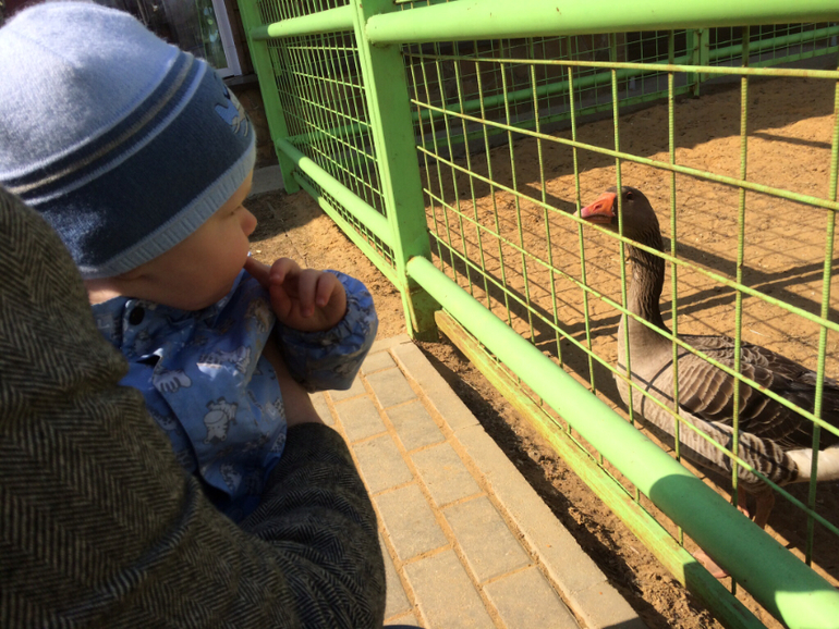 Национальный конный парк Русь