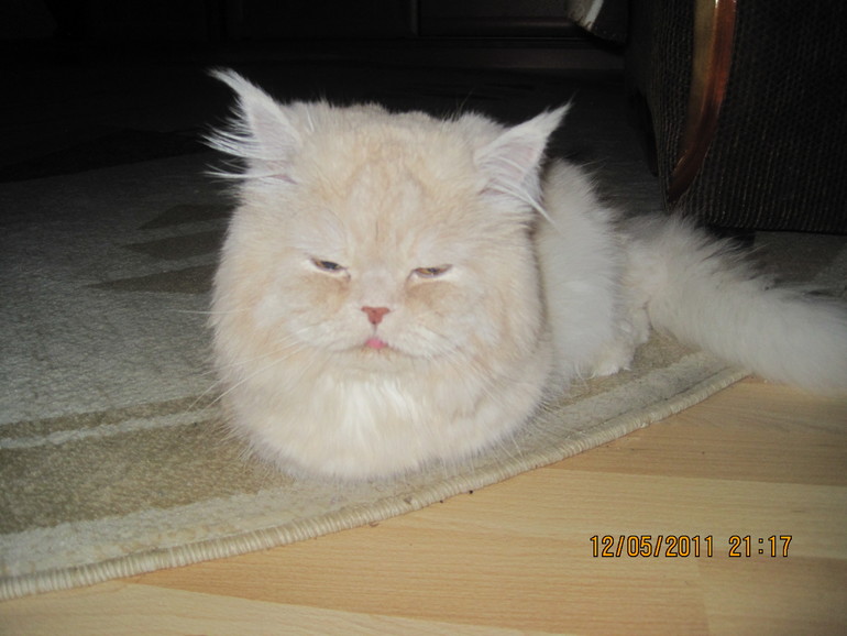 А вот мой красавец мужчина!!!